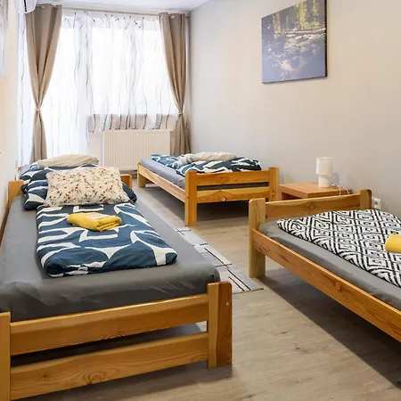 Bed and breakfast Ubytováni U Páji Kynsperk nad Ohri